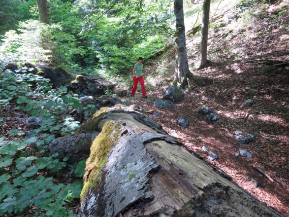 Der Abstieg durch das Eibental ...