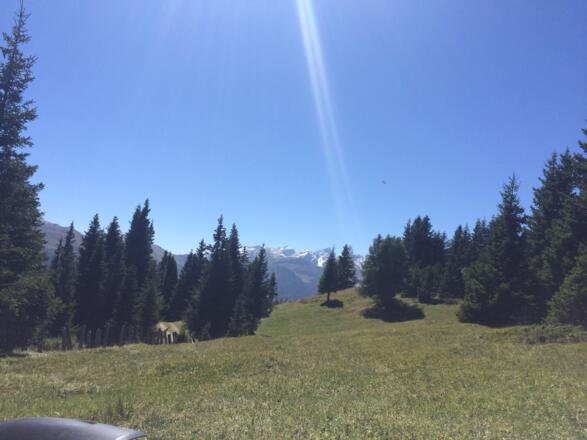 Die Quälerei lohnt sich