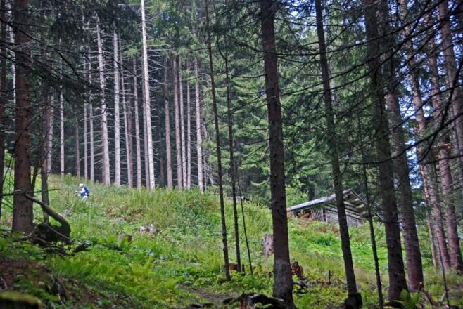 Aufstieg zur Ganatschalm