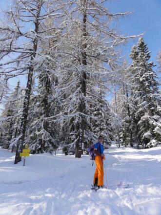 Abzweigung von der Piste zur Burgstalleralm (1570 m)