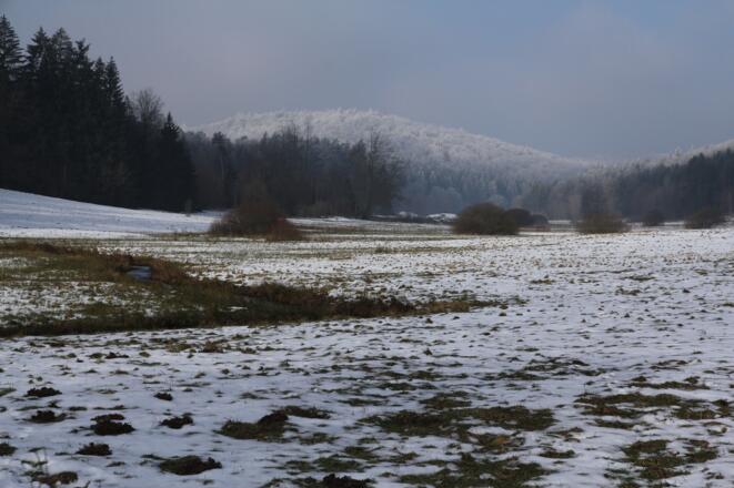 Naturschutzgebiet Weihersgrund