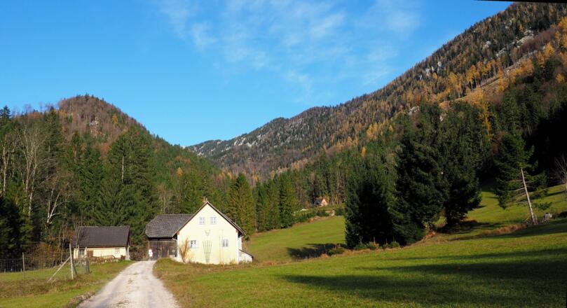 Steyrling Start 610m