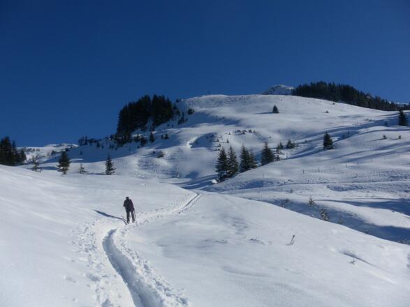 unter der Kleinmoosalm