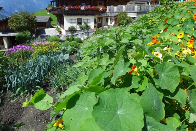 Bauerngarten
