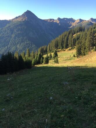 der erste Teil der Tour führt nur mäßig steil durch schöne Bergwiesen