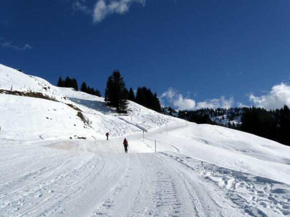 Oberhalb der Waldgrenze - unterhalb der Bichlalm.