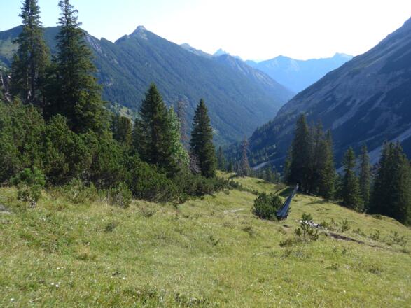 Blick zurück über das Birkental