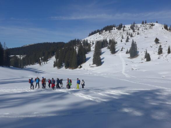 Im "Alter Hof" - im Hintergrund der Pirschling (1.634 m ü. NN)