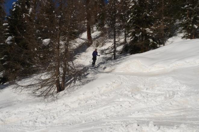 Den steileren Waldabschnitt haben wir über die Aufstiegsroute gut überwunden und gelangen schon bald danach zur Rodelbahn.