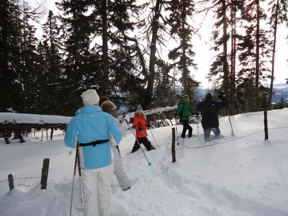Am Ende der großen Lichtung übersteigt man einen Zaun