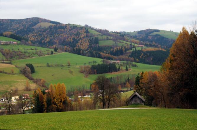 Stadl am Güterweg, rechts (~605 m)