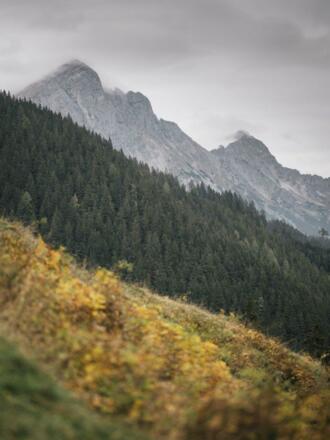 Ardningalm und Haller Mauern
