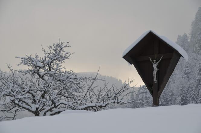 Blick in Richtung Hohe Kugel (1645m)