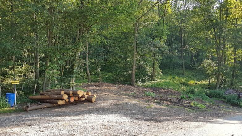 Gipfelkreuzung, hier besteht die Möglichkeit auf den neuen Steyregger Wanderwegen "Pfenningberg-Gipfelwanderweg" und "3 Buchen Weg" links rauf den Pfenningberg bzw. das "3 Buchen Kreuz" "mitzunehmen"