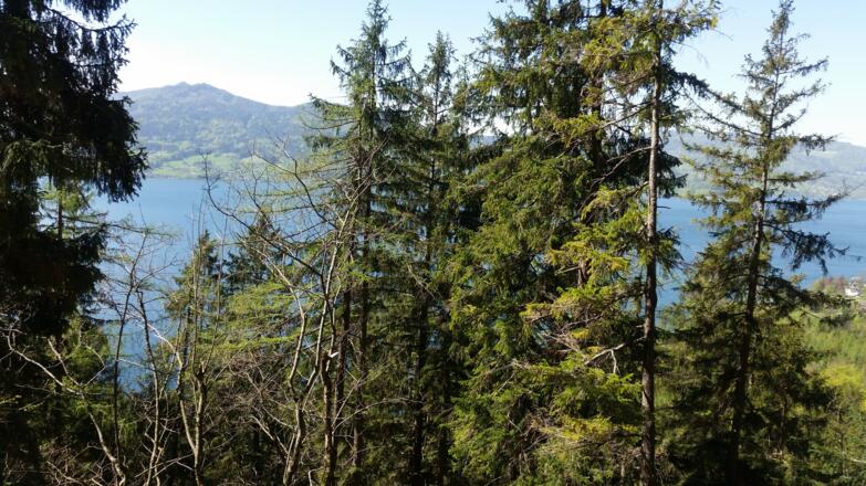 Ausblick vom Klettersteig