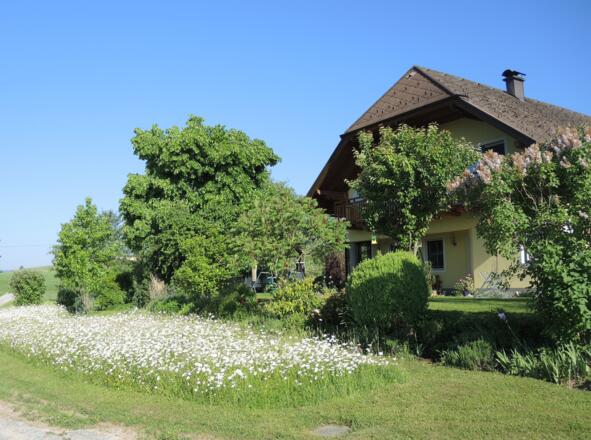 Blumenpracht in Sonnleiten