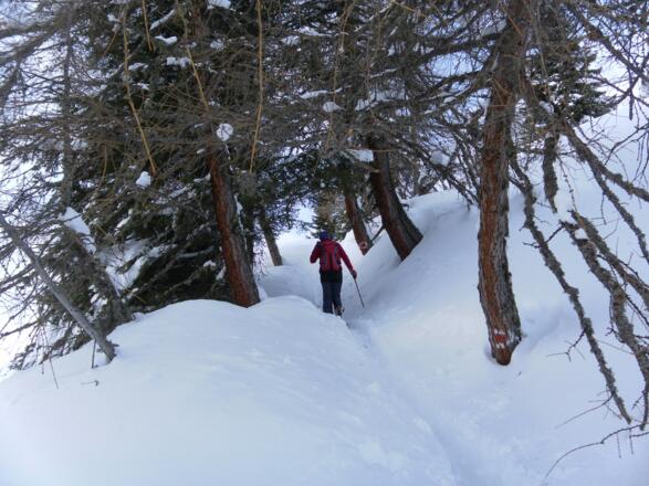 am Sommerweg zum Wetterkreuz