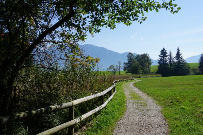 Weg rund um den Egelsee