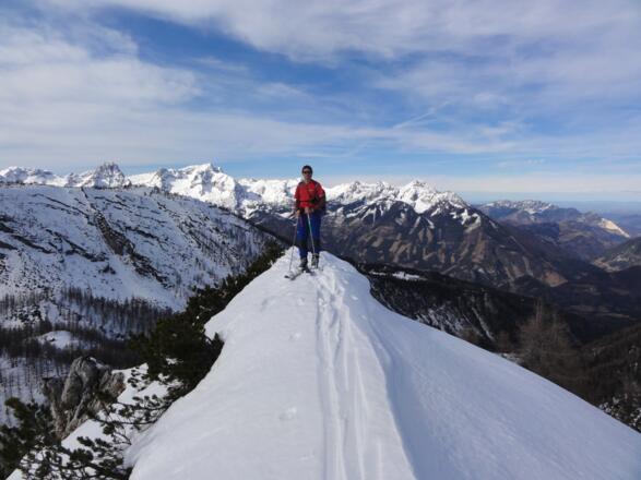 Gipfel Mitterberg - hinten der Forstweg zu den Huttererböden