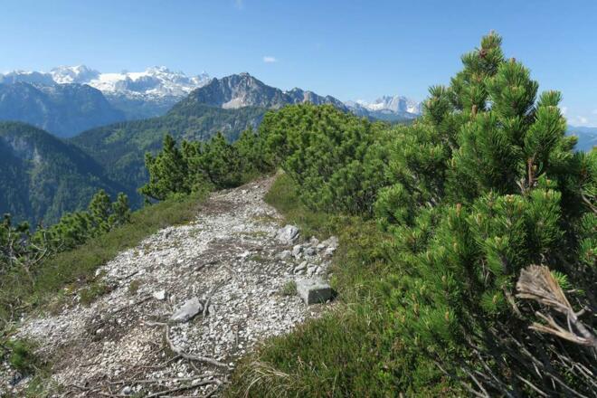 Am Löckerkogel