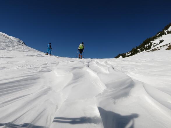Markante Windzeichen kurz unterhalb des Halsls, sogenannte Windgangeln, entstanden durch den Düseneffekt.