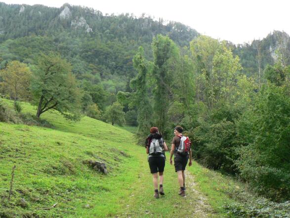 ... bis uns der Weg über Weidegelände hinauf zum Hintsteiner führt - im Hintergrund die Hohe Dirn