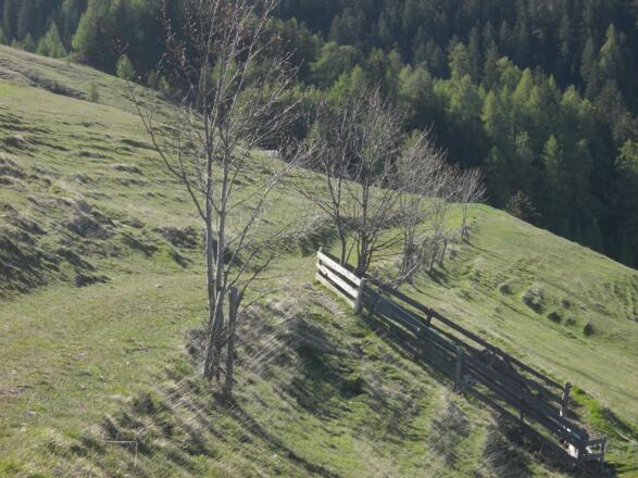Der alte Weg über die Nauderer Gemeinschaftsweide