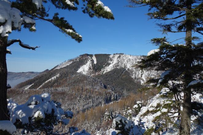 Fahrnaugupf im Norden von ca. 890m gesehen
