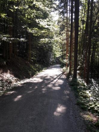 Der Weg zurück ins Tal