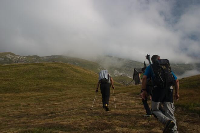 Über überaschend flache Almwiesen