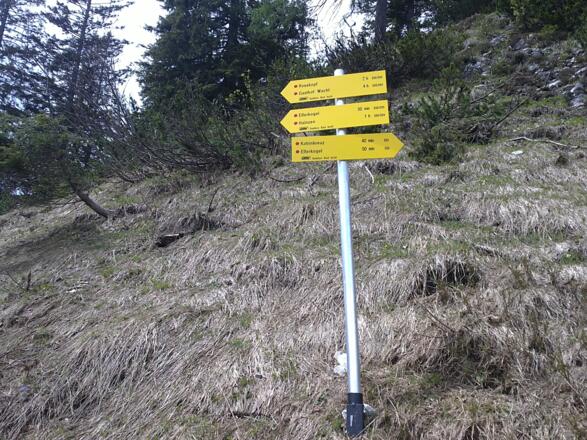 Beim Wegweiser nach gut 100m halten wir uns links.