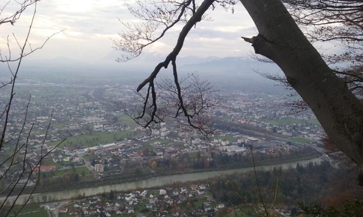 Blick ins Rheintal / View Rheintal Valley