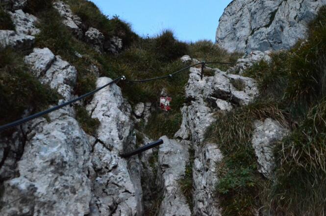 der vorletzte Aufschwung