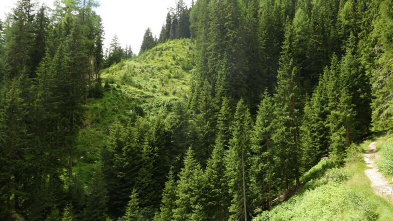 Wegpassage kurz vor dem Alpengasthof Jagastube