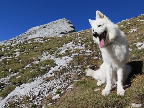 nach der Schlüsselstelle ist der letzte Wegabschnitt sichtbar