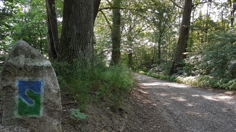 Hier geht’s zum Donausteig Rastplatz "Mühlviertelblick"