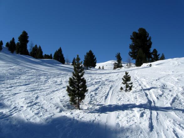 Im freien Gelände oberhalb der Meranzalpe.