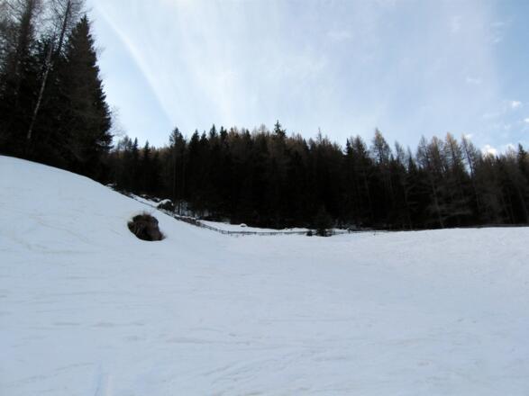Über diese Wiese geht's nach rechts durch eine Öffnung im Zaun.