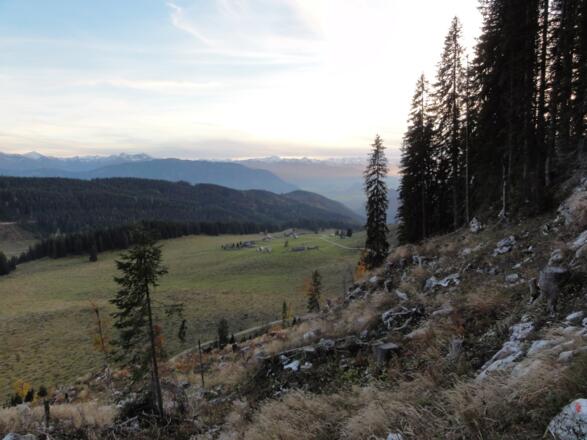südwestlich hinab zurück zur Hintereggeralm