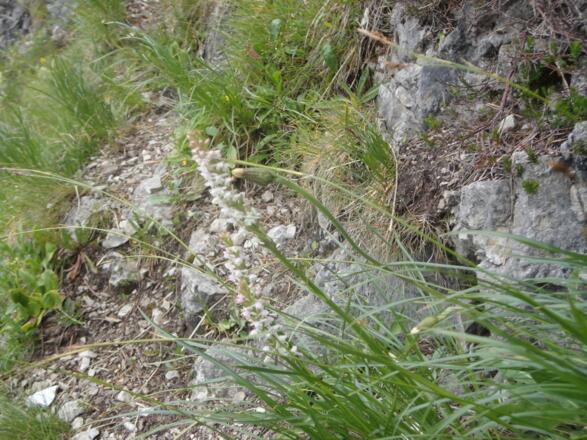 Abstieg von der Hochschere