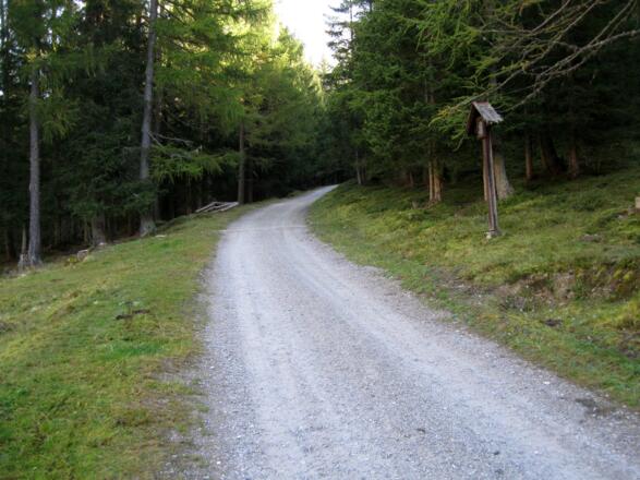 Zu Beginn einfache Wanderung auf der Forststraße. Diesen Teil der Strecke könnte man auch mit dem MTB zurücklegen.