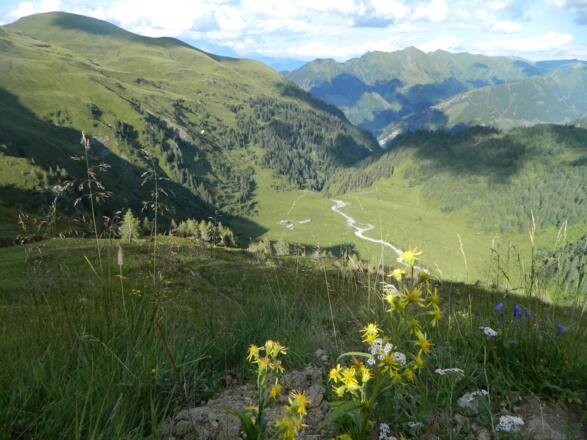 Blick vom Serpentinenweg runter ins Hirzbachtal