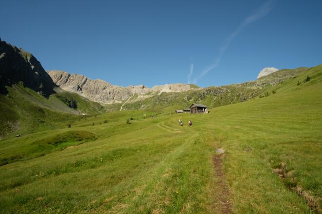 Gemähte Bergwiesen "in den Stucken"