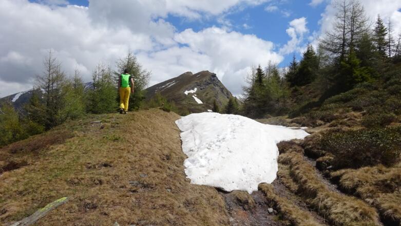 Auf dem breiten Rücken, immer ...