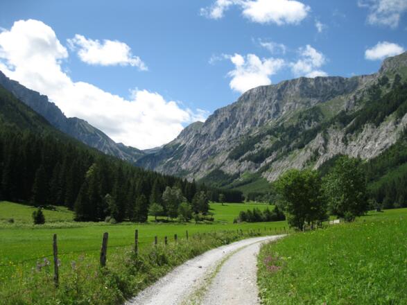 Im Seetal, Hochschwab (18.07.2012)