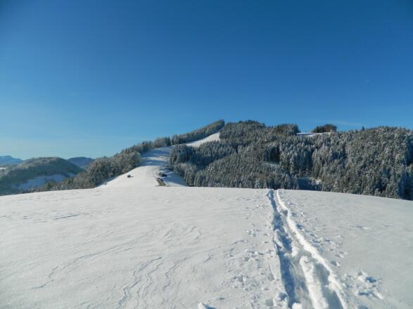 Blick vom Oberbramberg zurück zum Glasenberg