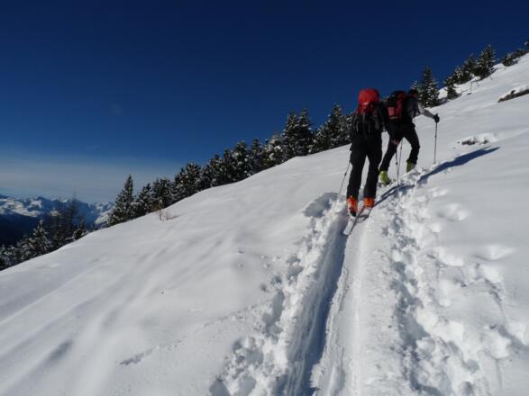 Schon bald haben wir den Wald hinter uns gelassen und betreten schönes freies Skigelände.