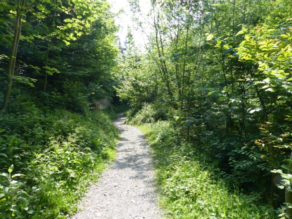 Nach dem Thaurer Kirchl folgt ein kurzer etwas steilerer breiter Fußweg.