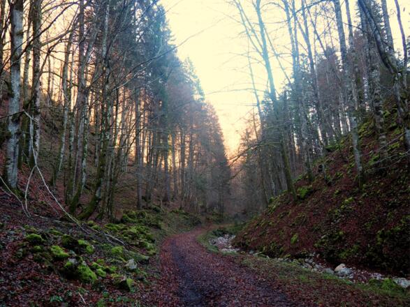 Im schattigen Katzengraben ca. 670m