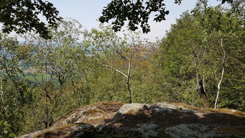 Das Ziel "in da stoanan Stubm"